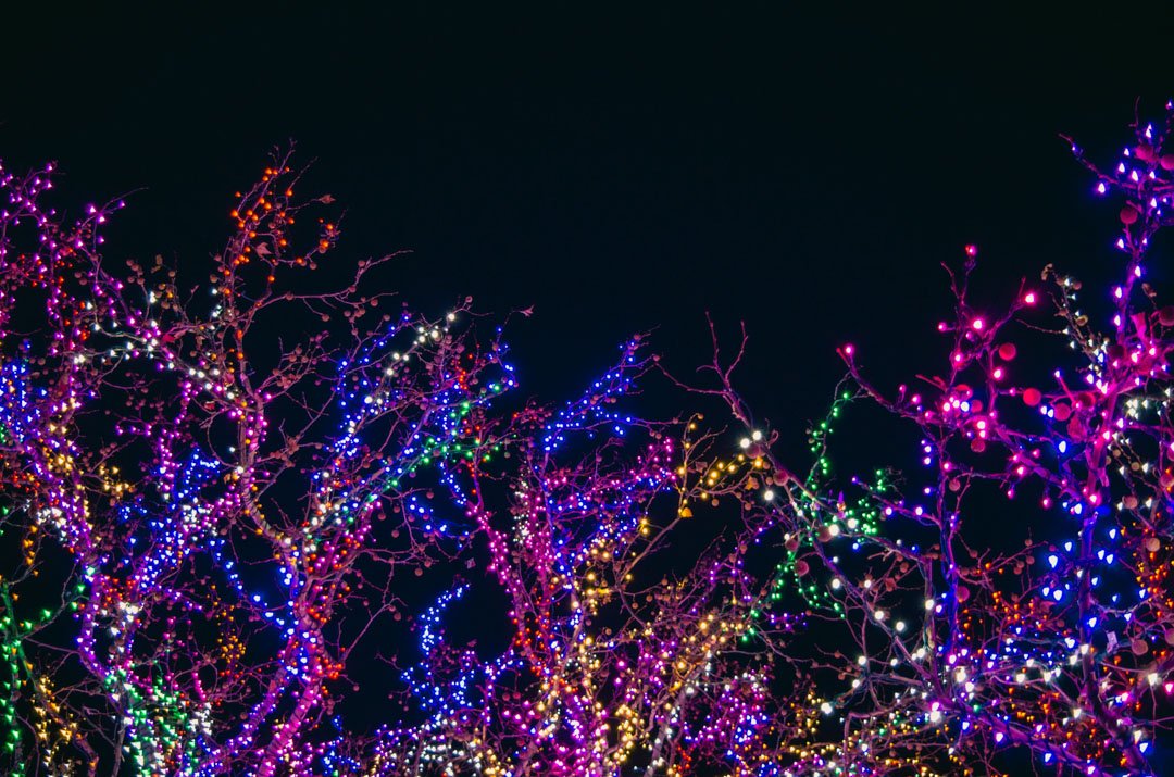 Custom Christmas Light Designs in Michiana